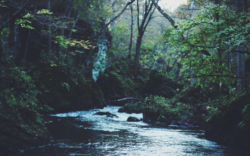 Boerderijwinkels in Limburg: zuidelijke smaken — ontdek lokale producenten via VersVinder