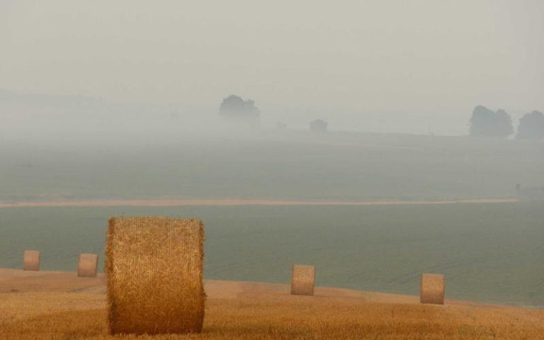 Boerderijwinkels Utrecht Groene Hart — ontdek lokale producenten via VersVinder