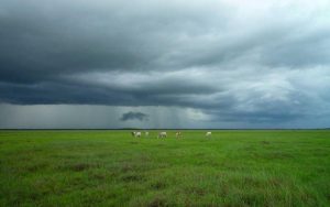 Landgoedwinkels in Nederland: bijzonder en lokaal — ontdek lokale producenten via VersVinder
